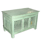 Small teak chest painted pistachio green, with painted iron jali work across the front to help airflow