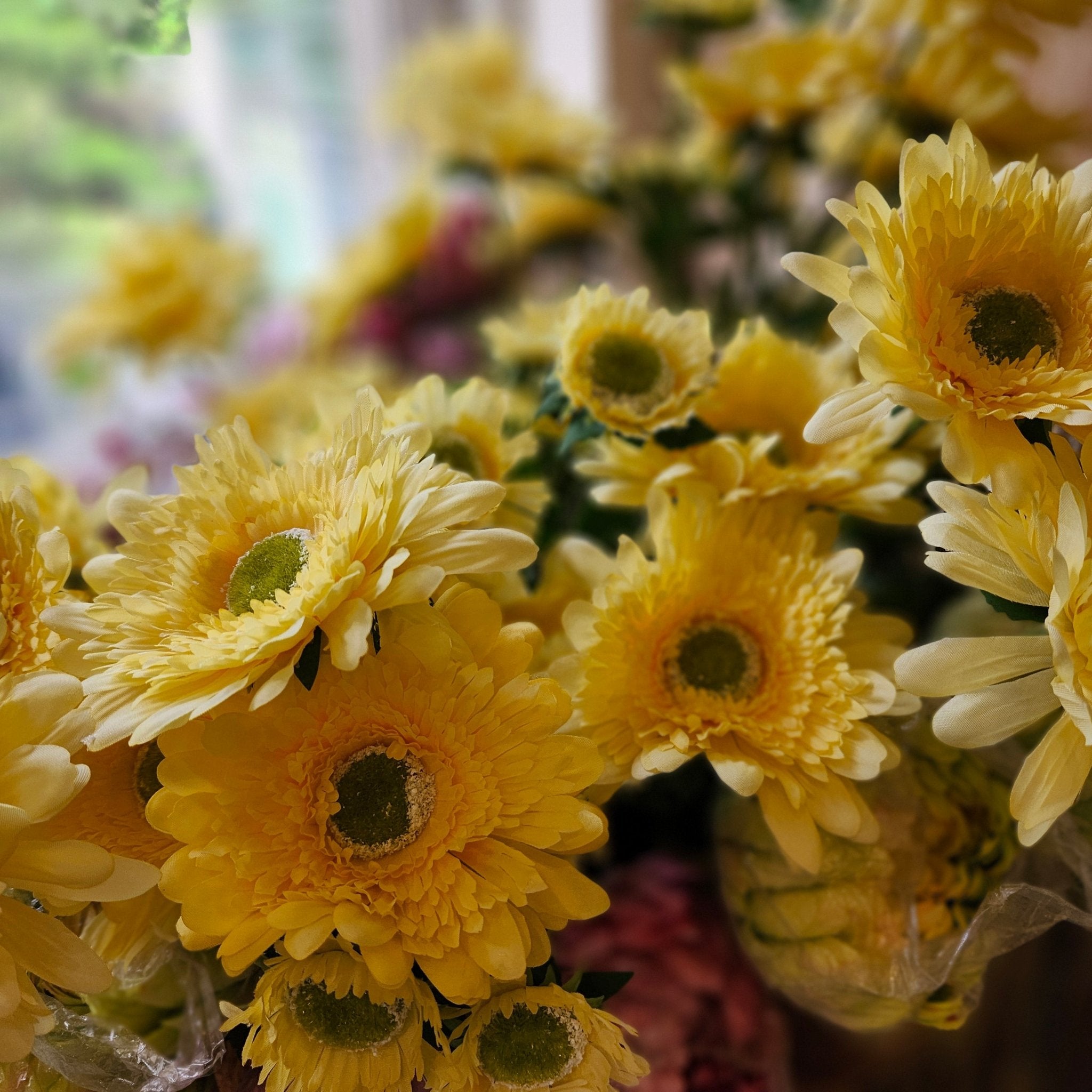 A close-up, slightly soft-focus shot of a bouquet of bright yellow daisy-like flowers with green centers.