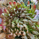 Lifelike large artificial chrysanthemum bloom