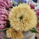 Artificial yellow carnation stem with six flowers of different sizes