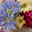 Artificial marguerite daisy in blue
