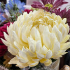 Artificial peony bloom in cream