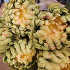 Artificial peony bloom in light green