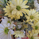 Artificial marguerite daisies in yellow and white