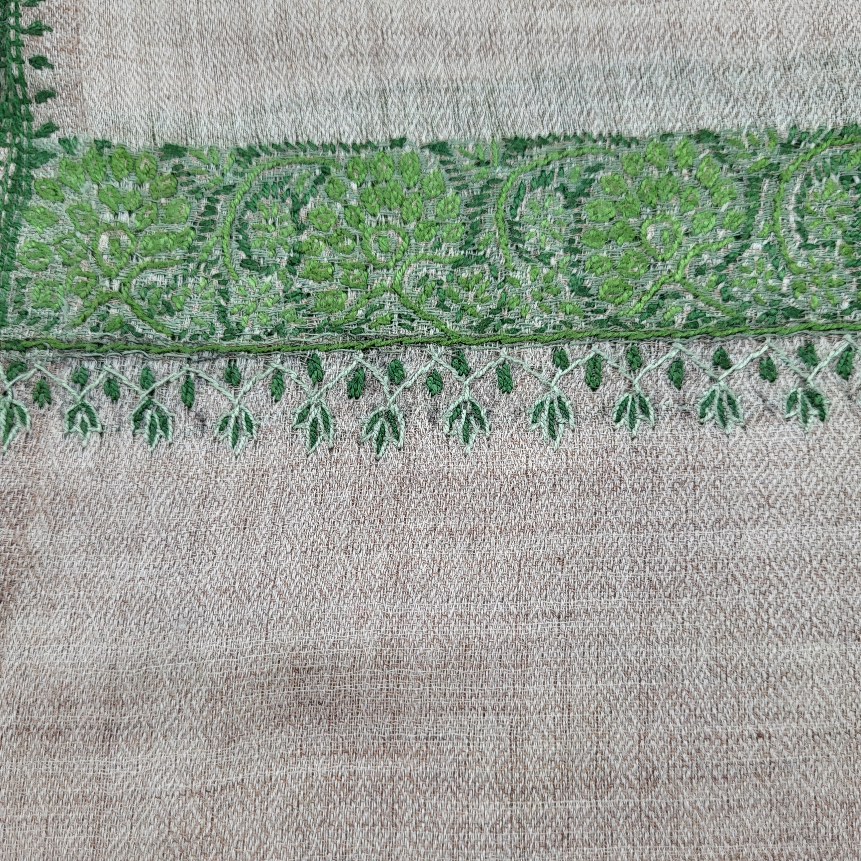 Pashmina with hand-embroidered green border, 70 x 200 cm