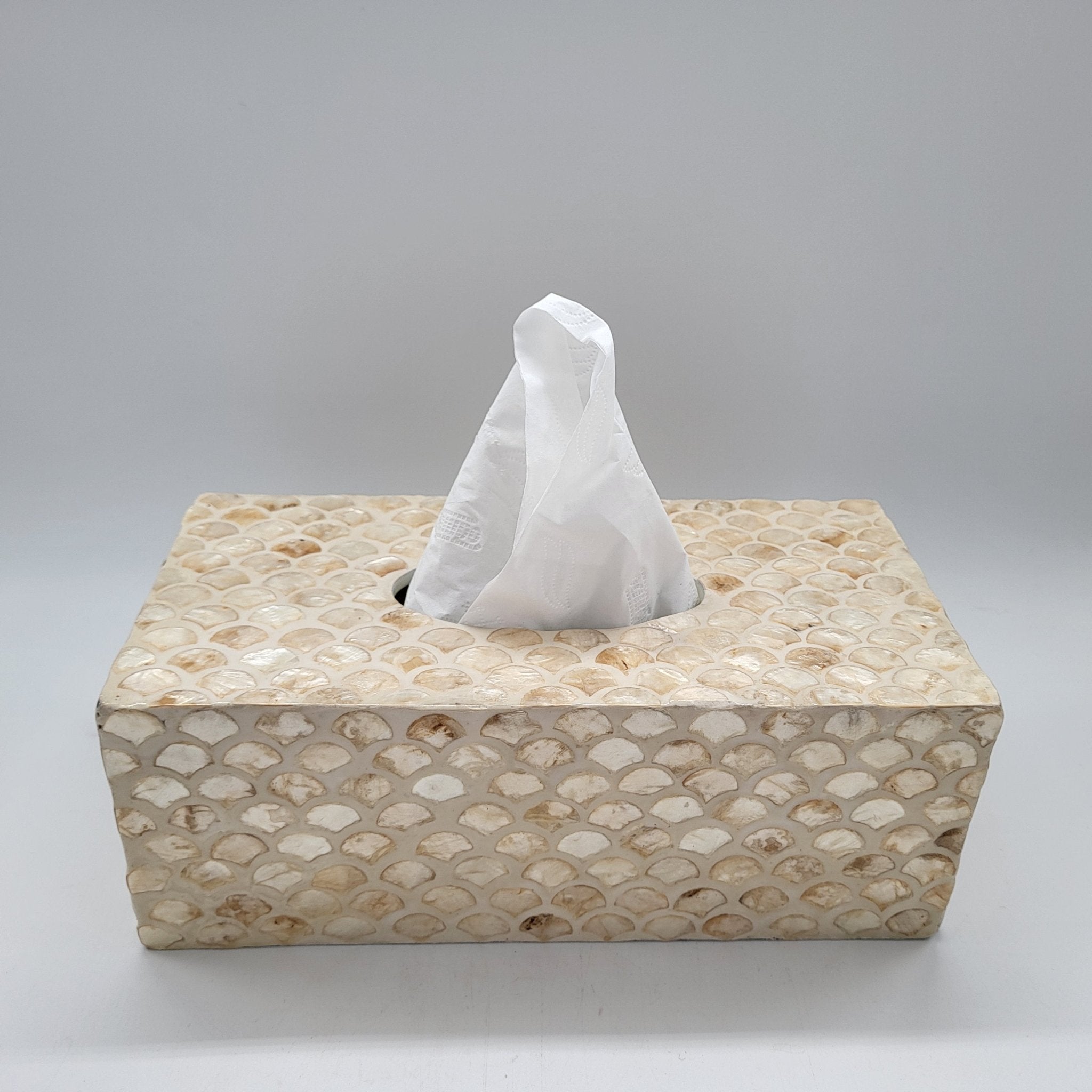Ivory mother of pearl tissue box cover, scale pattern inlay, 24 x 12 x 9 cm