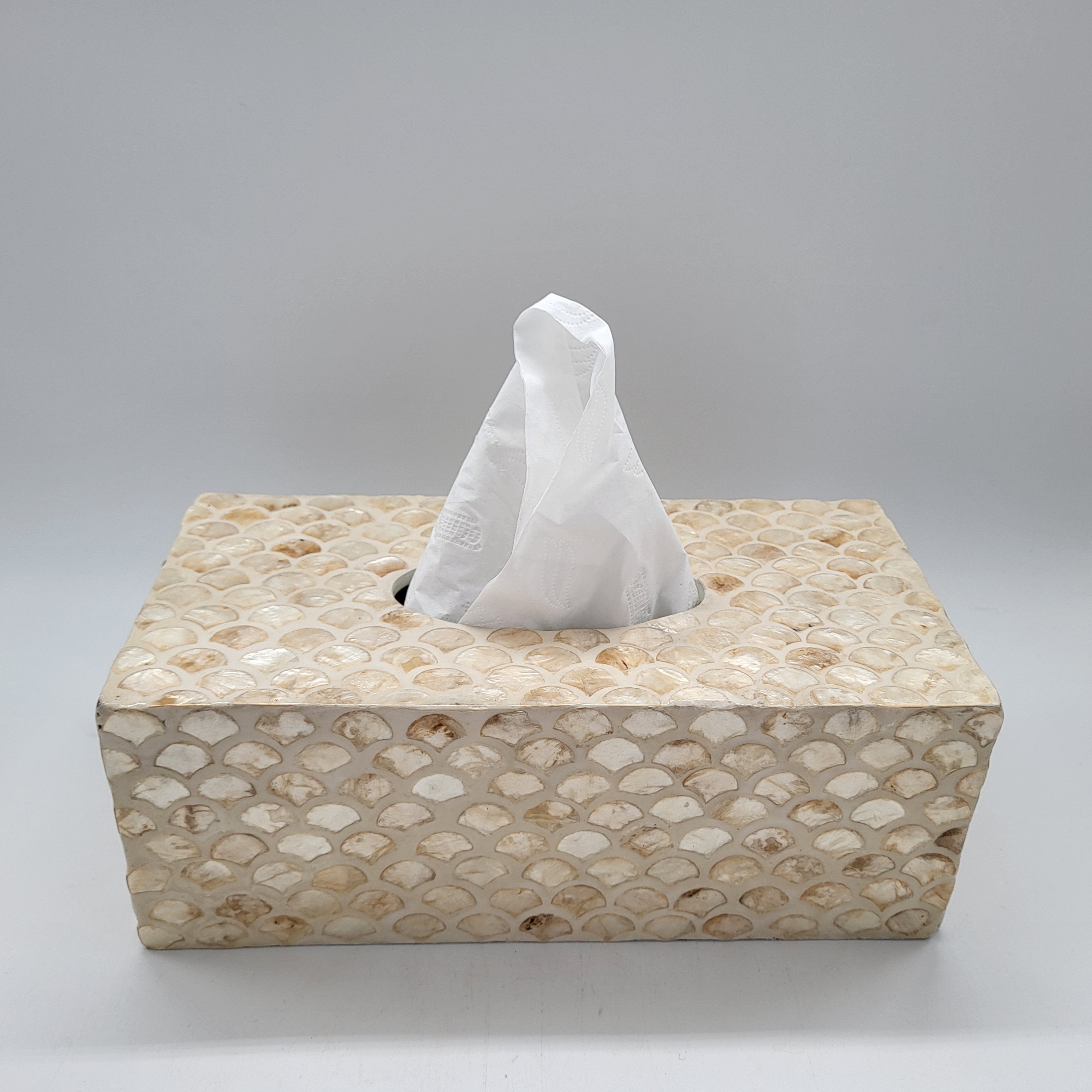 Ivory mother of pearl tissue box cover, scale pattern inlay, 24 x 12 x 9 cm
