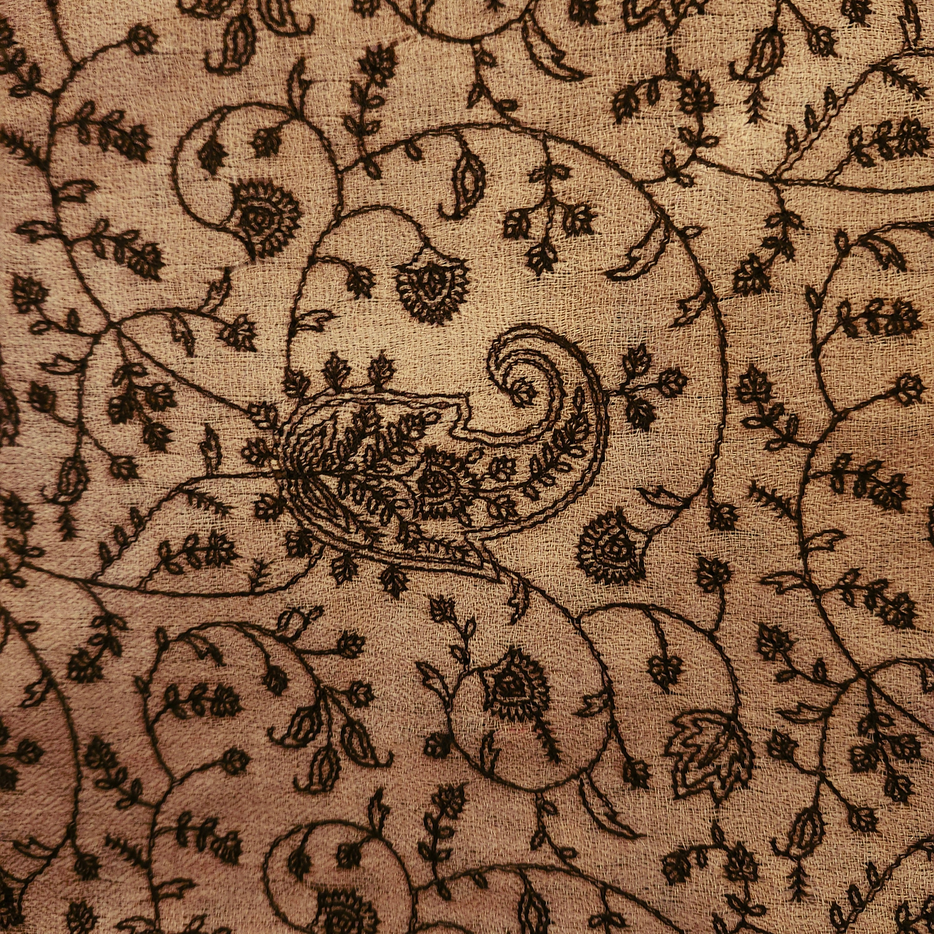 Brown pashmina shawl with all-over machine embroidered paisley design and plain border at either end