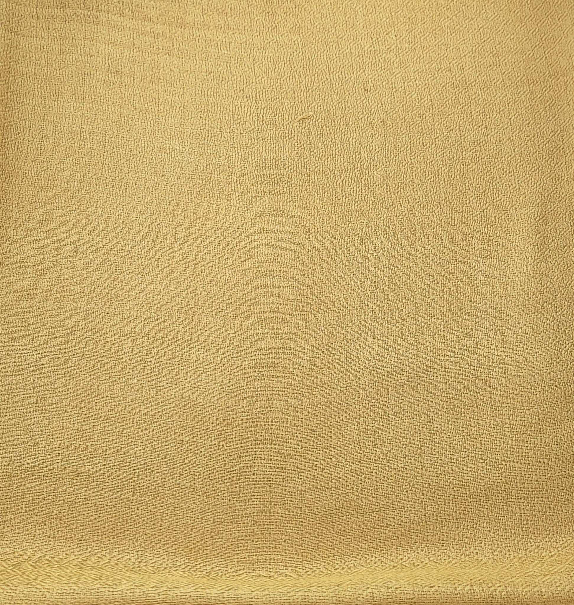 Plain pashmina shawl in yellow, 100% pashmina, 72 x 200 cm