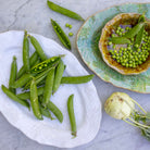 Small oval dishes in white and seaweed