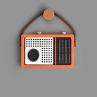 Radio Table Set in a leather case with steel napkin rings, coasters and fruit picks