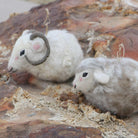 Hand-stitched felt sheep and ram, detail, India